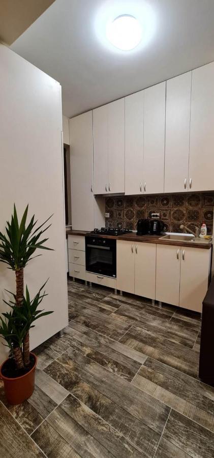 Designed Like Home Apartment Near Palas Mall Iasi Ngoại thất bức ảnh